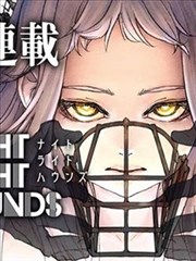 纸鸢与刀漫画封面